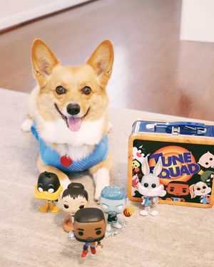Image post by @aircorg on Instagram
