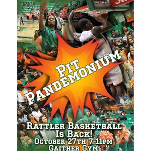 Image post by @famuathletics on Instagram