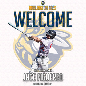 Image post by @burlington_bees on Instagram