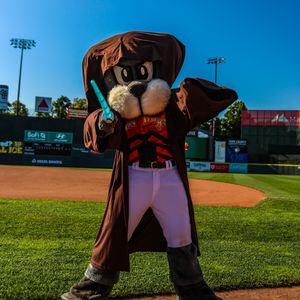 Image post by @portland_seadogs on Instagram