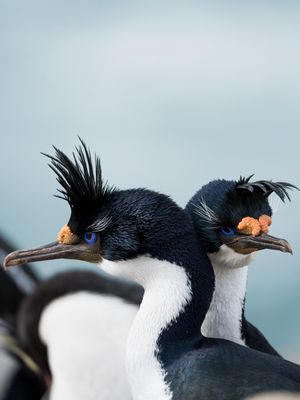Image post by @natgeo on Instagram