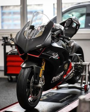 Image post by @panigalers on Instagram