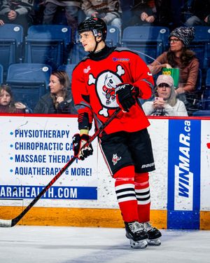 Image post by @ohlicedogs on Instagram