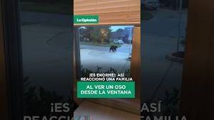 Video post by @laopinionla on YouTube