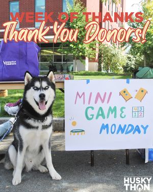 Image post by @huskython on Instagram