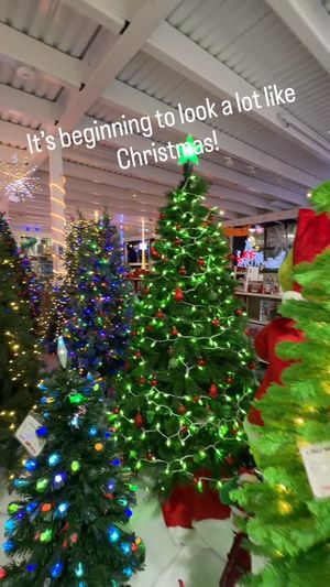 Video post by @Jessheartsthemeparks on Facebook