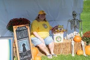 Image post by @mplsdtparks on Instagram