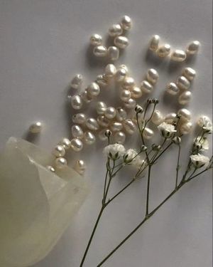 Image post by @alenaettea on Instagram