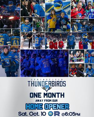 Image post by @thunderbirdsahl on Instagram