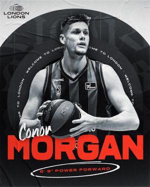 Image post by @londonlions on Instagram