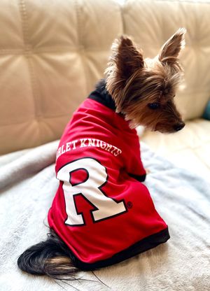 Image post by @rutgersu on Instagram
