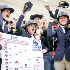 Image post by @usequestrian on Instagram