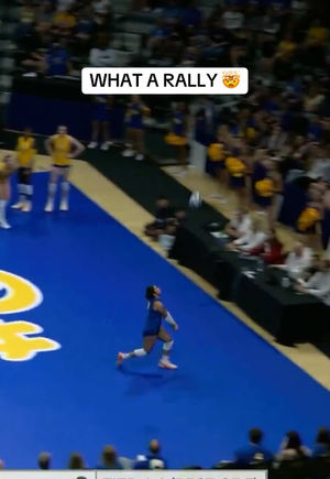 Video post by @ncaavolleyball on TikTok