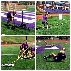 Image post by @hpuwlax on Instagram