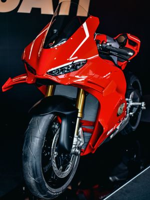 Image post by @panigalers on Instagram