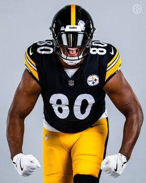 Image post by @steelers on Instagram