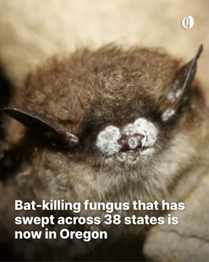 Image post by @theoregonian on Instagram
