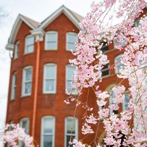 Image post by @marshallu on Instagram