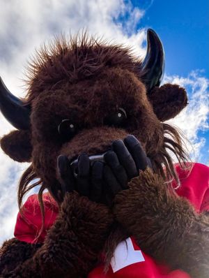 Image post by @hoosierthebison on Instagram
