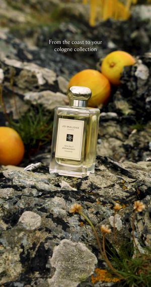 Video post by @jomalonelondon on TikTok