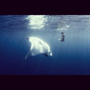Image post by @lovestrangelove on Instagram