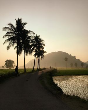 Image post by @traveluvgrapher on Instagram