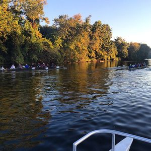 Image post by @templewrowing on Instagram