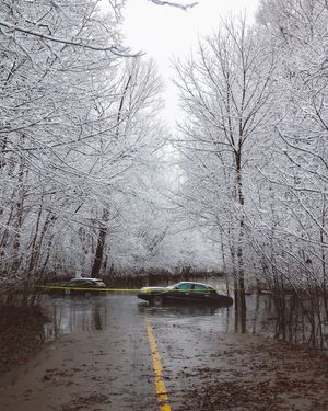 Image post by @_emilyoneal on Instagram