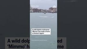 Video post by @nbcnews on YouTube