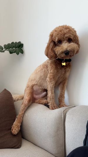 Video post by @tedflixnchill on TikTok