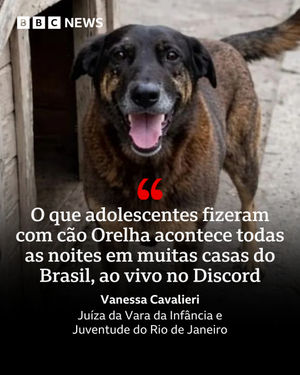 Image post by @bbcbrasil on Instagram
