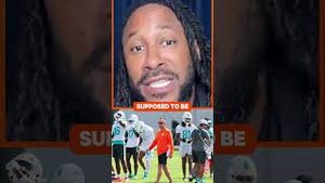 Video post by @dolphinscollective on YouTube