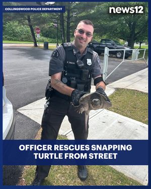 Image post by @news12nj on Instagram