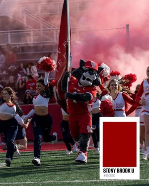 Image post by @stonybrooku on Facebook
