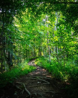 Image post by @cristan.nature.photography on Instagram