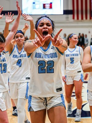 Image post by @nutimberwolves on Instagram