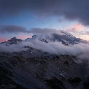Image post by @foxandlens on Instagram