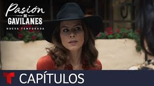 Video post by @telemundo on YouTube