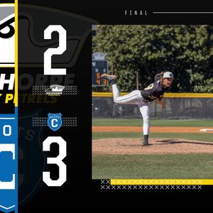 Image post by @GoPetrelsBSB on Twitter