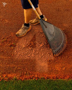 Image post by @raysbaseball on Instagram