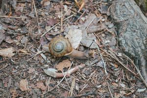 Image post by @iamjddavis on Instagram