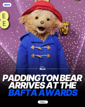 Image post by @dailymail on TikTok