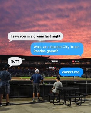 Image post by @trashpandasbaseball on Instagram