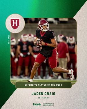 Image post by @ivyleague on Instagram