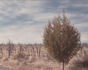 Image post by @director.fleming on Instagram