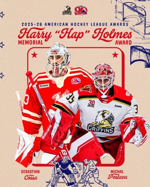 Image post by @theahl on Instagram