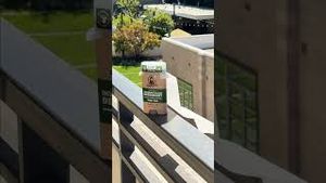 Video post by @drsquatch on YouTube