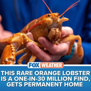 Image post by @foxweather on Instagram