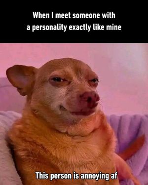 Image post by @9gag on Instagram
