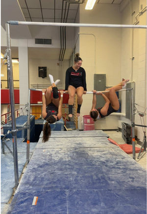 Video post by @semoredhawks on TikTok